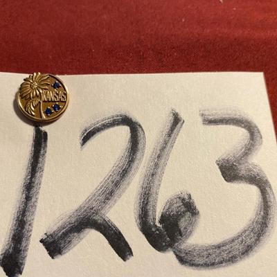 Kansas Pin