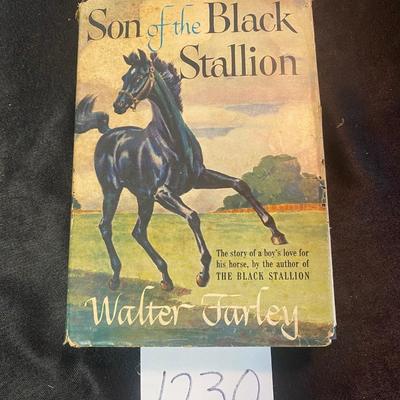Vintage Son of the Black Stallion
