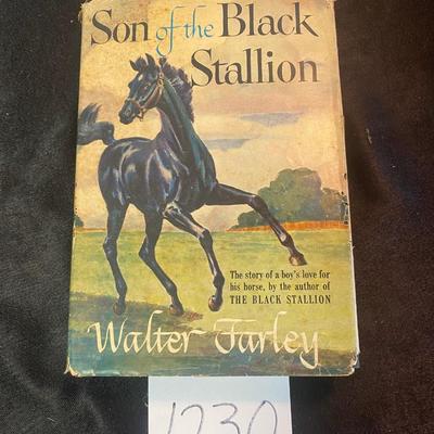 Vintage Son of the Black Stallion