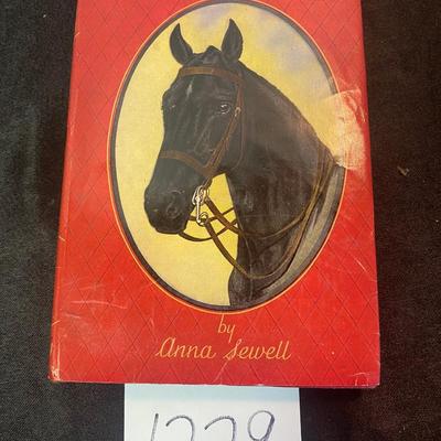 Vintage Black Beauty