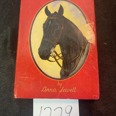 Vintage Black Beauty