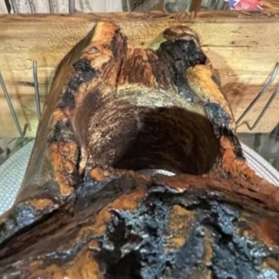 Vintage Backwoods Arts Tree Trunk Stool/Table 14.25" Tall, 14.25" Wide x 7" in Good Preowned Condition.