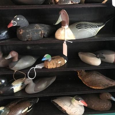 70 to 100 antique decoys 