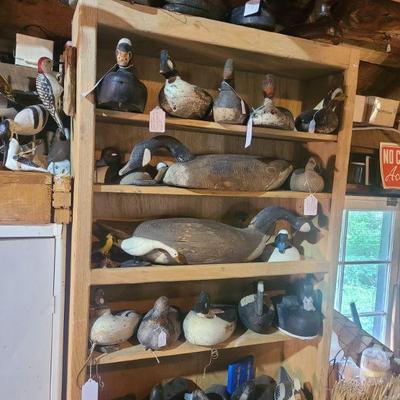 More decoys 