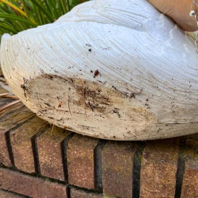 Swan Planters & Yard Art (G-RG)