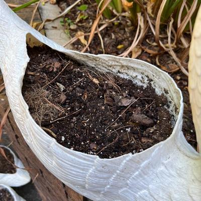 Swan Planters & Yard Art (G-RG)