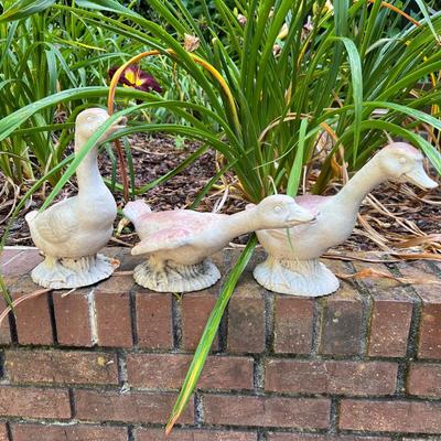 Swan Planters & Yard Art (G-RG)
