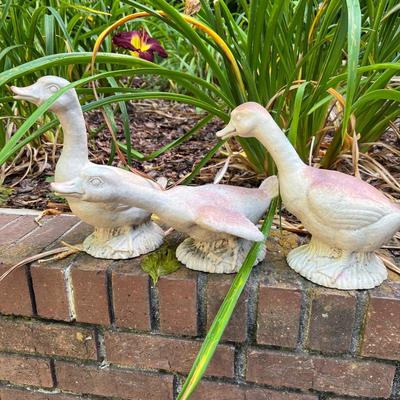 Swan Planters & Yard Art (G-RG)