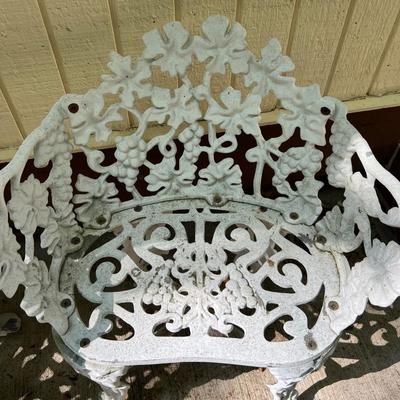 Pair of Cast Iron Garden Chairs (BY-RG)
