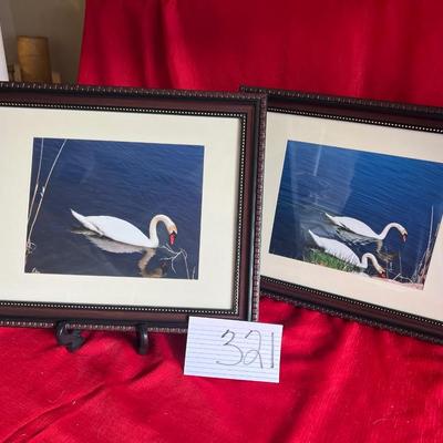 Beautiful geese pictures with detailed