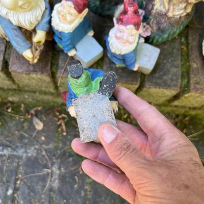 Garden Gnomes (G-RG)