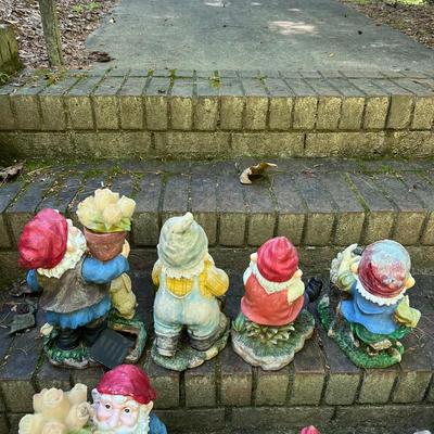 Garden Gnomes (G-RG)