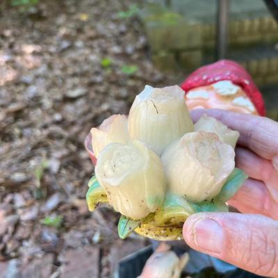 Garden Gnomes (G-RG)