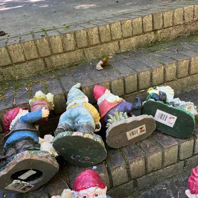 Garden Gnomes (G-RG)