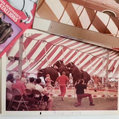 Collection of Circus Ephemera
