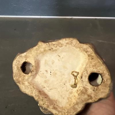 Ceramic & Glass Mushroom Stakes Plus More Ceramic Garden Art (G-RG)