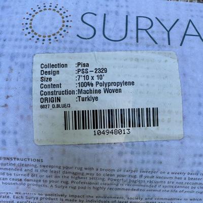 Blue Turkish Surya Rug 8x10 (G-TF)