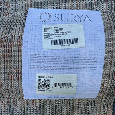 Blue Turkish Surya Rug 8x10 (G-TF)