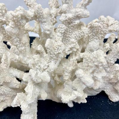 Extra Large White Lace Coral Statue Aquarium Decor
