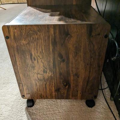 Vintage Entertainment Rolling Cabinet