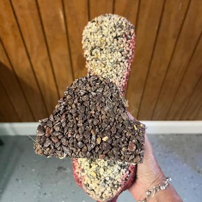 Feathered Friends Garden Decor (G-RG)