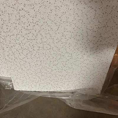 Armstrong Ceiling Tiles (UR-MG)