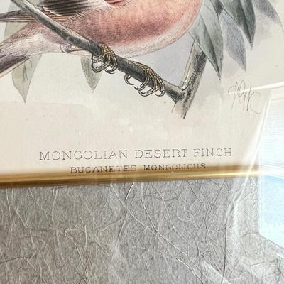 Vintage Pair Framed Mintern Bros. Imports Mongolian Desert & Siberian Rose Finch Art