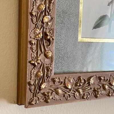 Professionally Framed Botanical Art Prints