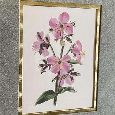 Professionally Framed Botanical Art Prints