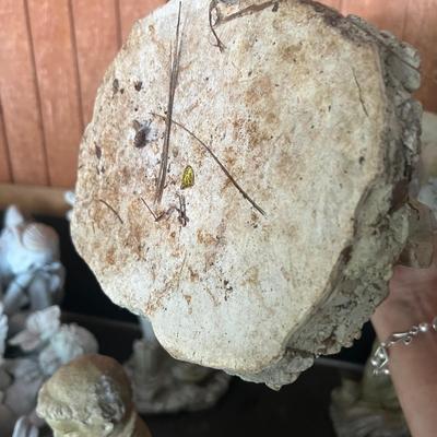 Celestial Beings Garden Statues (G-RG)