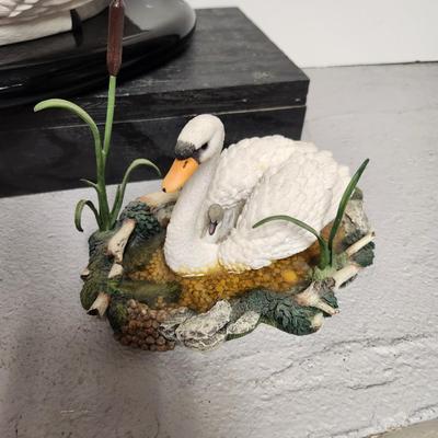 Bird lot