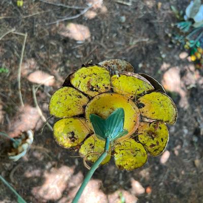 Wind Spinners, Decorative Yard Art Stakes & More (G-RG)