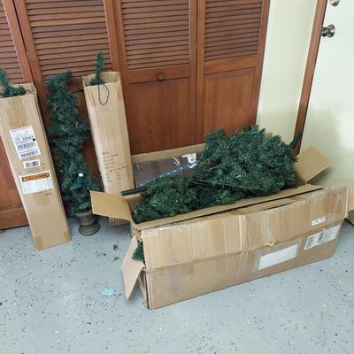 Christmas Trees, Topiaries and Outdoor Trees (G-BBL)