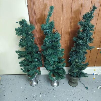 Christmas Trees, Topiaries and Outdoor Trees (G-BBL)