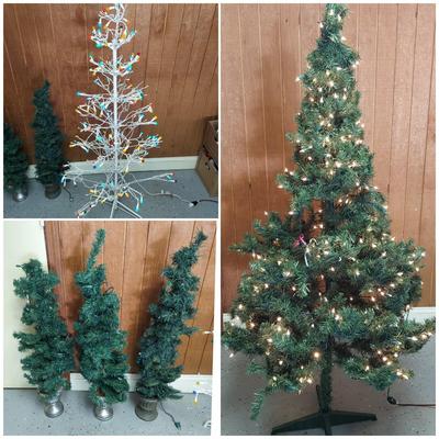 Christmas Trees, Topiaries and Outdoor Trees (G-BBL)