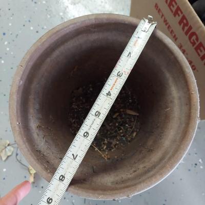 Black and Decker Leaf Blower and More Gardening Supplies (G-BBL)