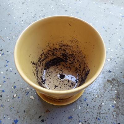 Four Ceramic Plant Pots (G-BBL)