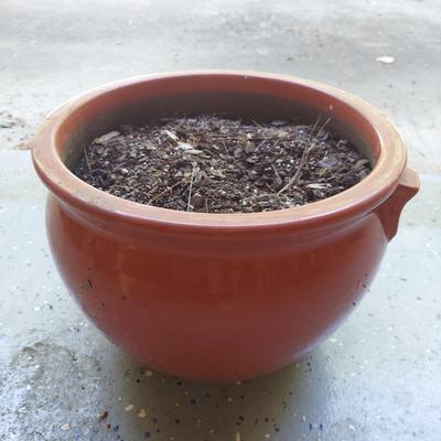 Four Ceramic Plant Pots (G-BBL)