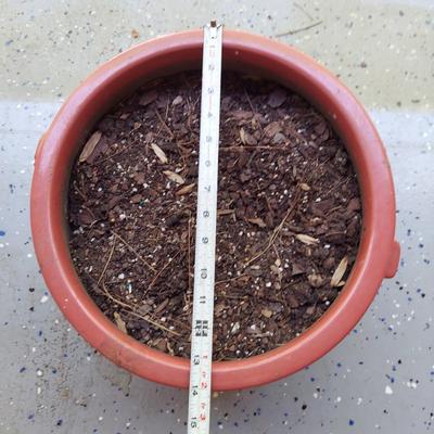 Four Ceramic Plant Pots (G-BBL)