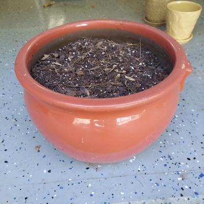 Four Ceramic Plant Pots (G-BBL)