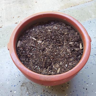 Four Ceramic Plant Pots (G-BBL)