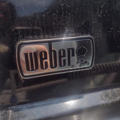 Weber Three Burner 'Spirit' Grill with Cover