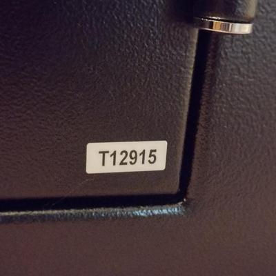 Hayman Safe Co. Everglades Model Sportsman's Storage Safe