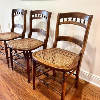 Three Maple (?) Wood Cane Bottom Chairs