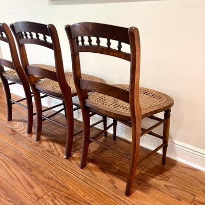 Three Maple (?) Wood Cane Bottom Chairs