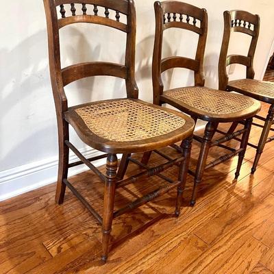 Three Maple (?) Wood Cane Bottom Chairs