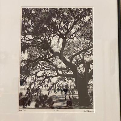 Four Signed & Numbered Scott Henderson Framed Photography Art (GB1-SS)