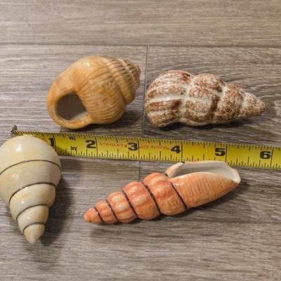 Ceramic Shells