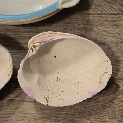 Shell Soapdish and 2 Shells