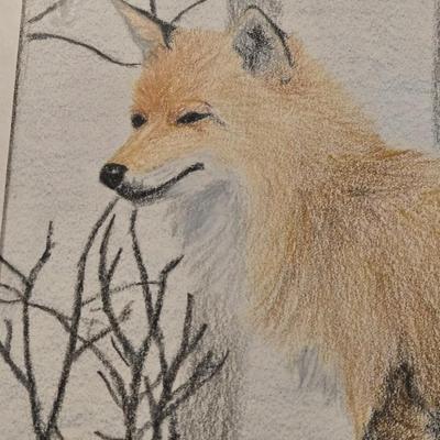 Original Pencil Artwork of a Fox